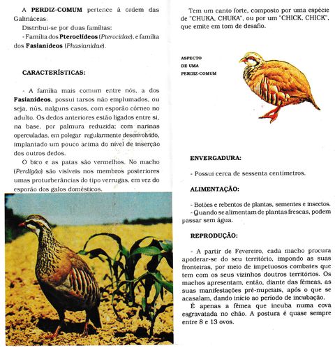 Campanha para a protecção da perdiz — página 2