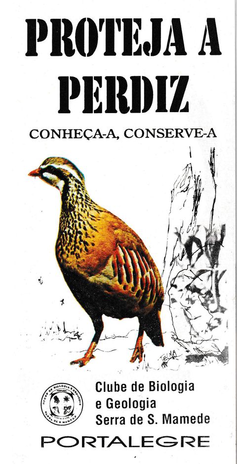 Campanha para a protecção da perdiz — página 1