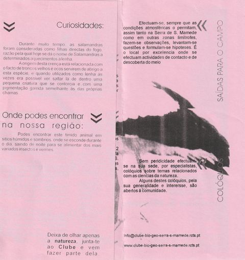 Divulgação da salamandra — página 2