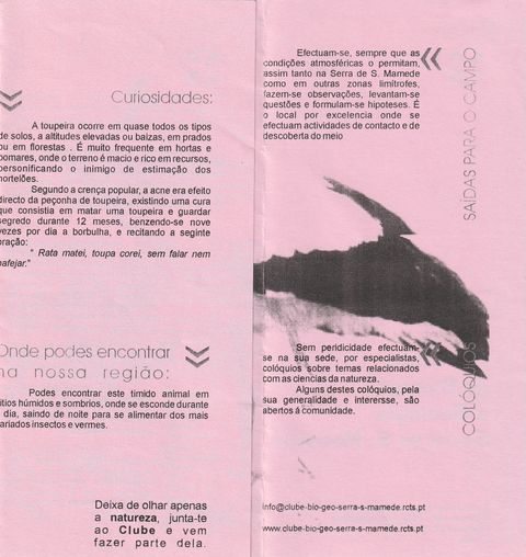 Divulgação da toupeira — página 2