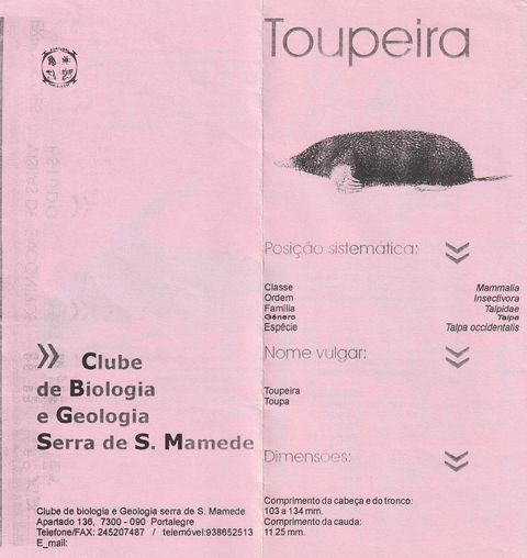 Divulgação da toupeira — página 1
