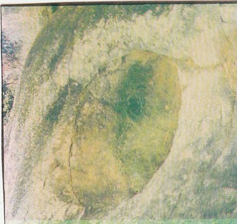 Marmita de gigante