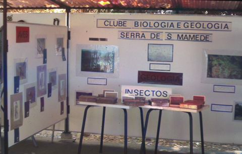 Stand nas Festas da Cidade