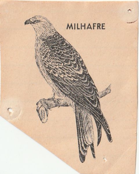 Milhafre