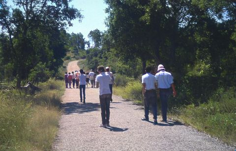 A caminho da falha de Castelo de Vide