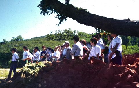 Eng. Malato Beliz explicando a vegetação da serra