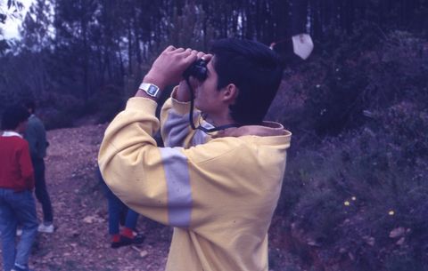 Observando aves