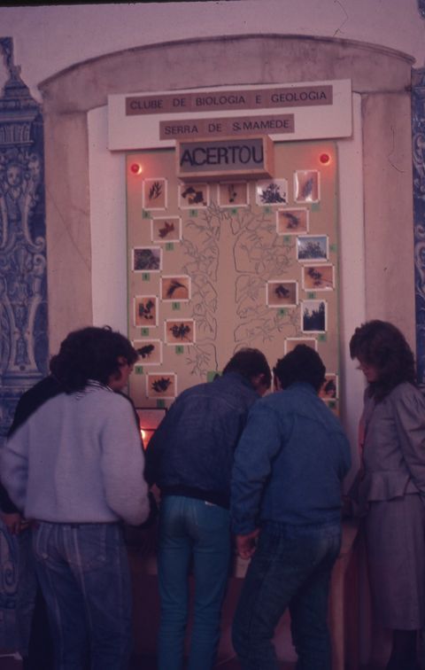 Portalegre, II Semana de Ciência e Tecnologia: dispositivo de identificação de árvores construído no Clube