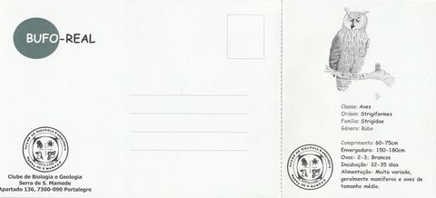 Verso do postal «Bufo-real»