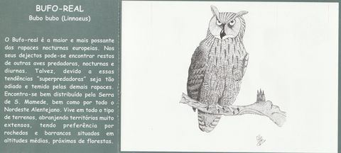 Frente do postal «Bufo-real»