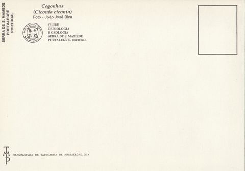 Verso do postal «Cegonhas»