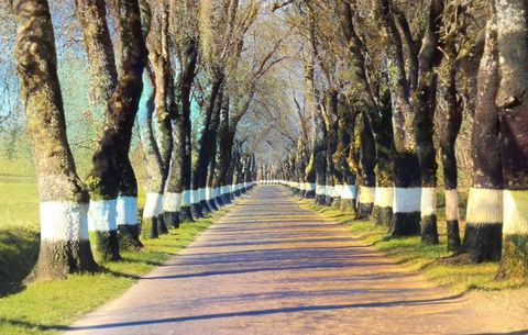 Troço da estrada da Portagem para Castelo de Vide
